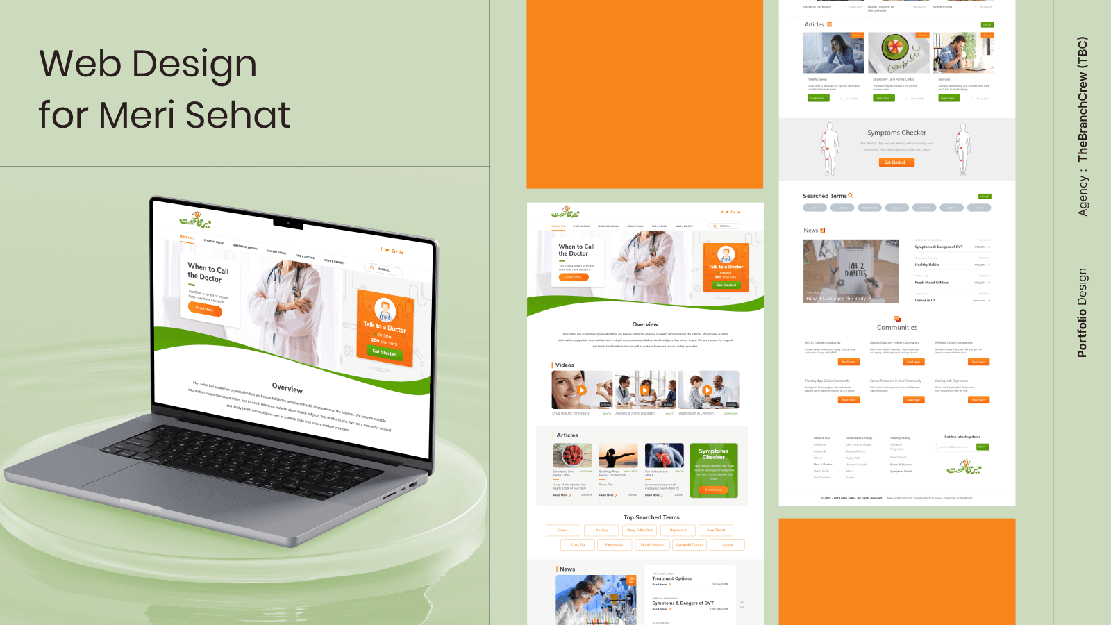 Web Design for Meri Sehat